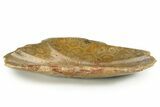 Polished Fossil Coral (Actinocyathus) Dish - Morocco #323040-1